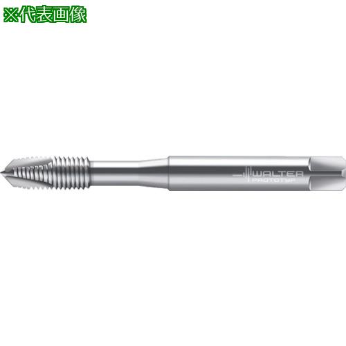 Prototyp ޥ󥿥åס:20211M10͡8026501:0[ӸѤ][ǳ][ŹƬԲ]