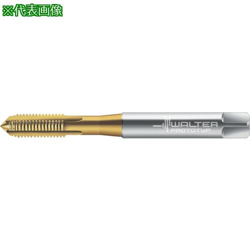 Prototyp ޥ󥿥åס:20311M1.7͡8026545:0[ӸѤ][ǳ][ŹƬԲ]