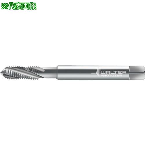 Prototyp ޥ󥿥åס:204089EGM4͡8026604:0[ӸѤ][ǳ][ŹƬԲ]