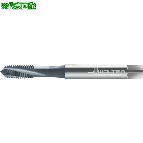 Prototyp ޥ󥿥åס:20410M2͡8026653:0[ӸѤ][ǳ][ŹƬԲ]