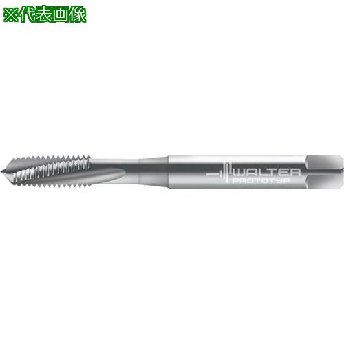 Prototyp ޥ󥿥åס:20411M4͡8026667:0[ӸѤ][ǳ][ŹƬԲ]