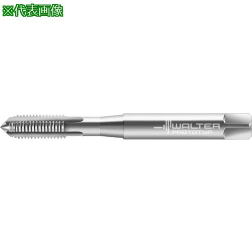 Prototyp ޥ󥿥åס:21311M2X0.25͡8026783:0[ӸѤ][ǳ][ŹƬԲ]