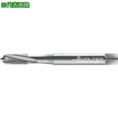 Prototyp ޥ󥿥åס:22410UNC4͡8027026:0[ӸѤ][ǳ][ŹƬԲ]