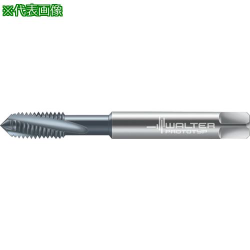 Prototyp ޥ󥿥åס:80410M3͡8027357:0[ӸѤ][ǳ][ŹƬԲ]