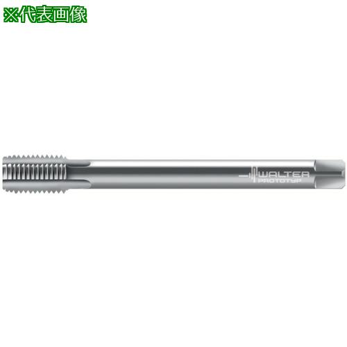 Prototyp ޥ󥿥åס:8136310M10X1͡8027393:0[ӸѤ][ǳ][ŹƬԲ]