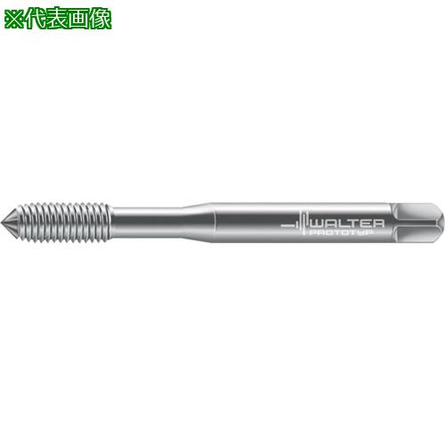 Prototyp ž¤åס:D7063100M6͡8027681:0[ӸѤ][ǳ][ŹƬԲ]