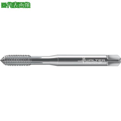 Prototyp ž¤åס:D7063700M3͡8027684:0[ӸѤ][ǳ][ŹƬԲ]