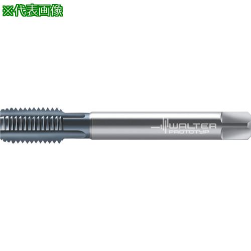 ■Prototyp マシンタップ〔品番:E2136416M22X1.5〕【8027921:0】[送料別途見積り][掲外取寄][店頭受取不可]