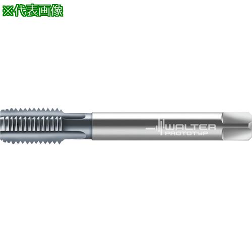 ■Prototyp マシンタップ〔品番:E21364M12X1.5〕【8027936:0】[送料別途見積り][掲外取寄][店頭受取不可]