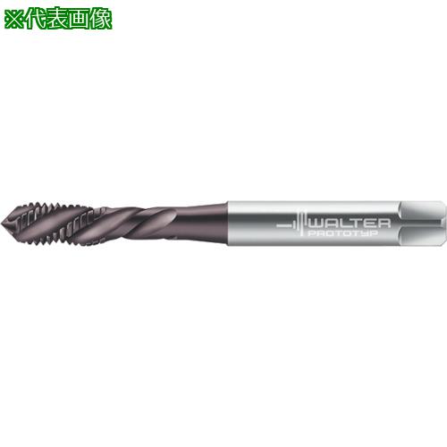 ■Prototyp マシンタップ〔品番:EP2051382M8〕【8027967:0】[送料別途見積り][掲外取寄][店頭受取不可]