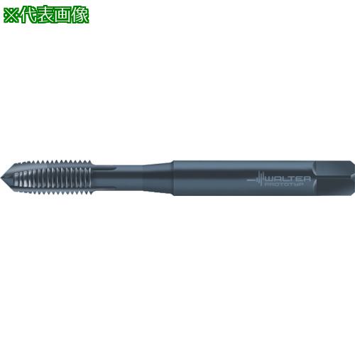 Prototyp ޥ󥿥åס:M203009EGM2.5͡8028541:0[ӸѤ][ǳ][ŹƬԲ]