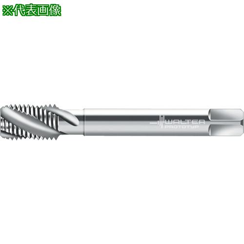 Prototyp ޥ󥿥åס:N21566M12X1.5͡8028751:0[ӸѤ][ǳ][ŹƬԲ]