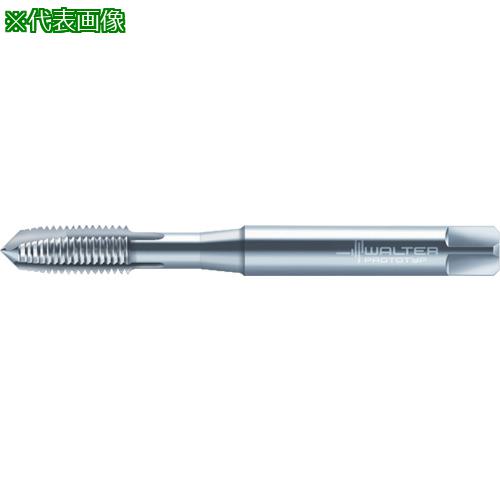 Prototyp ޥ󥿥åס:P203009EGM3͡8028813:0[ӸѤ][ǳ][ŹƬԲ]