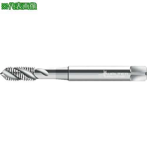 Prototyp ޥ󥿥åס:P20509M8͡8028904:0[ӸѤ][ǳ][ŹƬԲ]