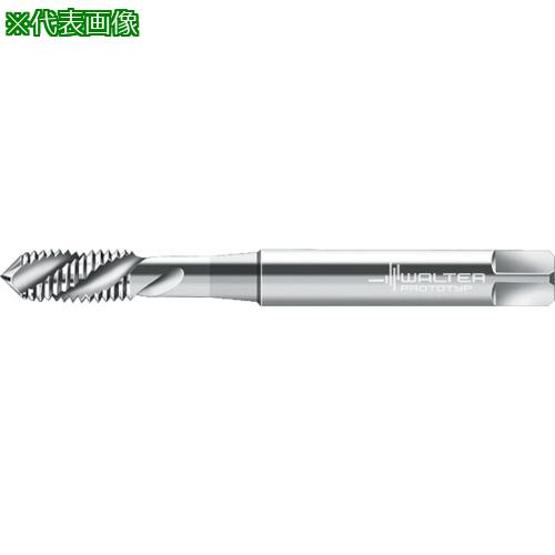 Prototyp ޥ󥿥åס:P205198M5͡8028935:0[ӸѤ][ǳ][ŹƬԲ]