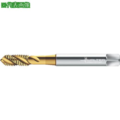 Prototyp ޥ󥿥åס:P20519M4͡8028946:0[ӸѤ][ǳ][ŹƬԲ]