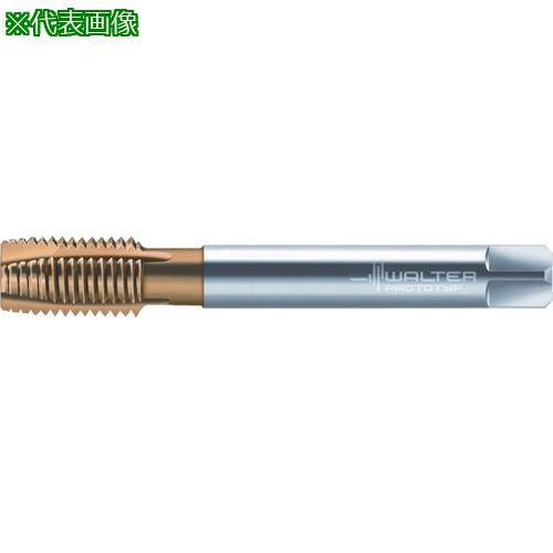 ■Prototyp マシンタップ〔品番:P21360M24X1〕【8029034:0】[送料別途見積り][掲外取寄][店頭受取不可]