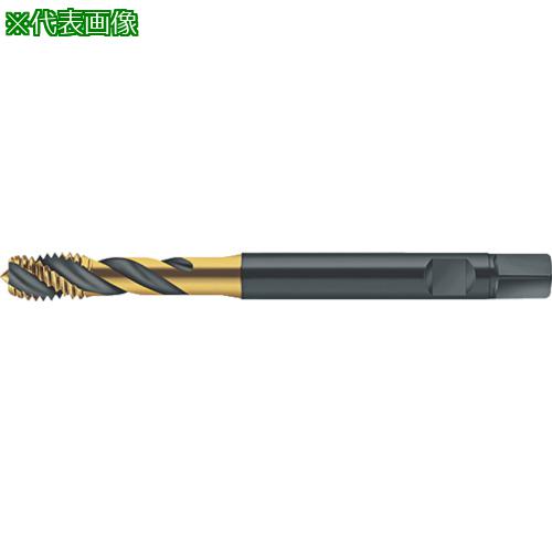 ■Prototyp マシンタップ〔品番:S2051302M4〕【8029419:0】[送料別途見積り][掲外取寄][店頭受取不可]