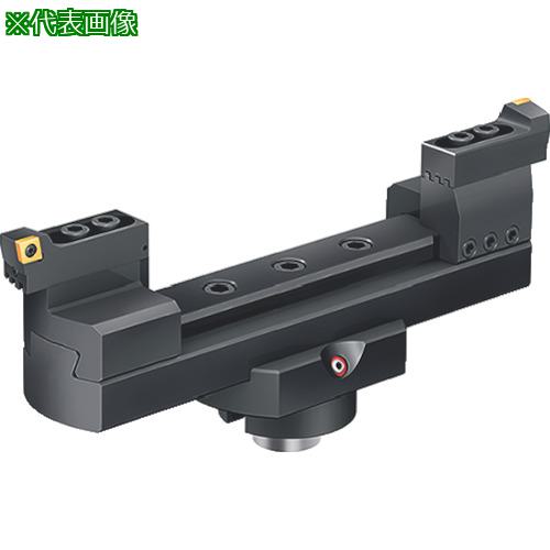 ■Walter 2枚刃ボーリング工具〔品番:B3224.N8.290360.Z2.CC12〕【8032588:0】[送料別途見積り][掲外取寄][店頭受取不可]