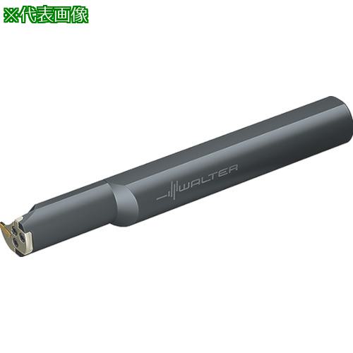 ■Walter 溝入れモジュール〔品番:NCAI405025RGX243〕【8033869:0】[送料別途見積り][掲外取寄][店頭受取不可]