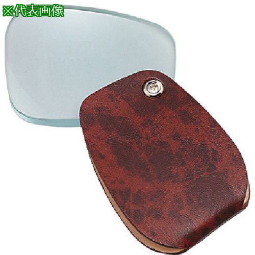 《メーカー》池田レンズ工業（株）《品番》3190N《特長》●レンズサイズ57×75mm。携帯に便利。《用途》《仕様》●倍率(倍):2.5●レンズサイズ(mm):57×75●重さ(g):89●商品サイズ縦(mm):60●商品サイズ横(mm):78●商品サイズ高(mm):17●箱サイズ縦(mm):61●箱サイズ横(mm):83●箱サイズ高(mm):20●レンズ:ガラスレンズ《仕様2》《原産国（名称）》日本《材質／仕上》●材質:ガラス・合皮・他《セット内容／付属品》《注意》《JANコード》4963008031901《本体質量》96.0g※こちらの商品は送料無料対象外です。※「送料無料」と表示されても別途送料が必要となりますのでご注意ください。池田レンズ　ポケットルーペ　3190〔品番：3190N〕[注番:8052002][本体質量：96.0g]《包装時基本サイズ：××》〔包装時質量：〕分類》測定・計測用品》光学・精密測定機器》ルーペ☆納期情報：取寄管理コード(005) メーカー直送品 (欠品の場合有り)