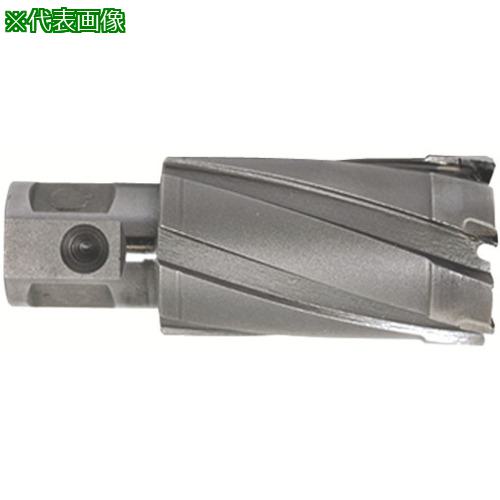 ■育良 ライトボーラー用替刃(超硬刃)(51020)〔品番:CCSQ245〕【8052637:0】[送料別途見積り][掲外取寄]..