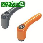 ■kipp クランプレバー〔品番:FKR5X15BR〕【8057020:0】[送料別途見積り][掲外取寄][店頭受取不可]
