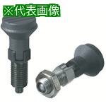 ■kipp インデックスプランジャー〔品番:NDX10LSUS〕【8058029:0】[送料別途見積り][掲外取寄][店頭受取不可]