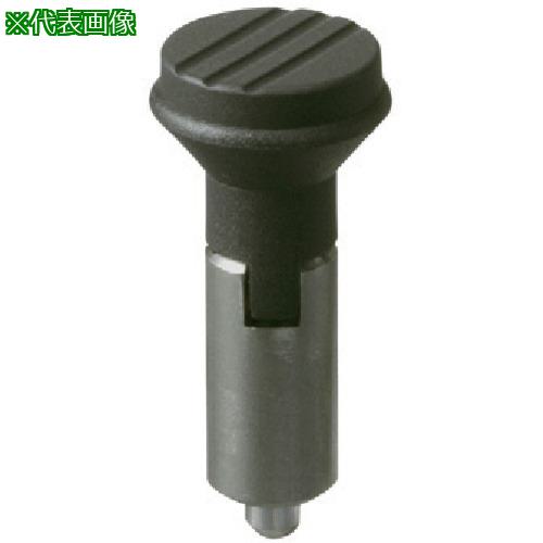 ■kipp インデックスプランジャー〔品番:WDX16LSUS〕【8059584:0】[送料別途見積り][掲外取寄][店頭受取不可]