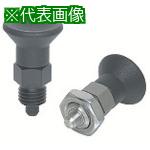 ■kipp インデックスプランジャー〔品番:NDXNS10W〕【8060186:0】[送料別途見積り][掲外取寄][店頭受取不可]