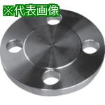 ■inoc 面座付ブラインドフランジ 10K20A〔品番:304BDRF10K20A〕【8064247:0】[送料別途見積り][掲外取..