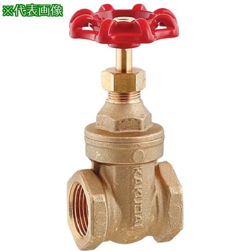 ■KAKUDAI ゲートバルブ〔品番:65400125〕【8074873:0】[送料別途見積り][掲外取寄][店頭受取不可]