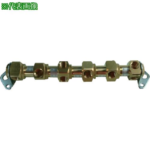 ■チヨダ ヘッダーブロックCB 6連 Rc3/8〔品番:CB603〕【8082588:0】[送料別途見積り][店頭受取不可]