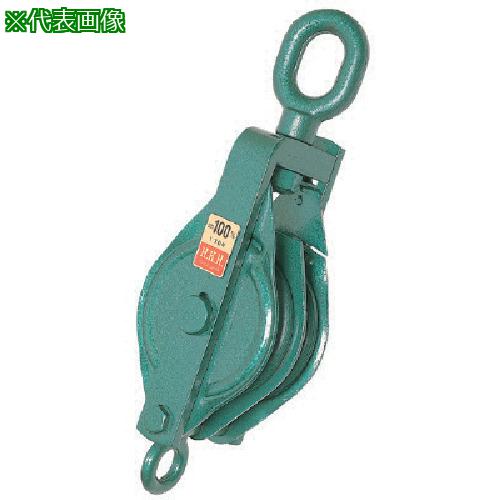 ■HHH 強力型滑車二車スナッチ オーフ型125mm〔品番:125X2SO〕【8087140:0】[送料別途見積り][掲外取寄][店頭受取不可]