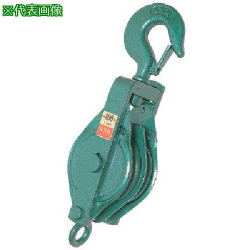 ■HHH 強力型滑車二車スナッチ フック型175mm〔品番:175X2S〕【8087147:0】[送料別途見積り][店頭受取不可]