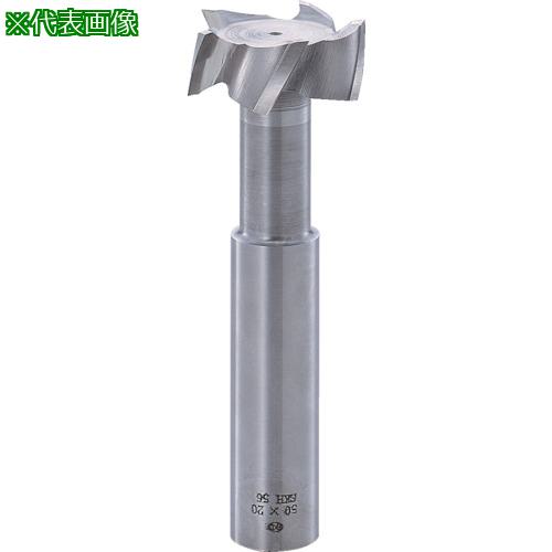 FKD Tåȥɥߥ4015:TSE40X15͡8096239:0[ӸѤ][ǳ][ŹƬԲ]