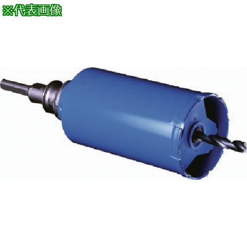 ■ミヤナガ ガルバウッドコアドリル セット ストレートシャンク Φ220〔品番:PCGW220〕【8115021:0】[法人・事業所限定][外直送元][店頭受取不可]