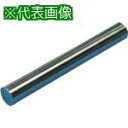 ■SUPER 高磁力マグネットバー タップ穴付 表面最大磁束密度0.8T(8000G) 長さ:300mm〔品番:SMGB830T〕【8131058:0】[送料別...