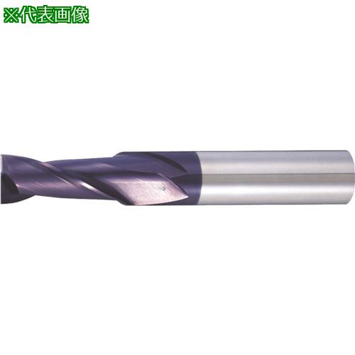 MOLDINO -- 2EM HES2035-C:HES2035C͡8154626:0[ӸѤ][ǳ][ŹƬԲ...