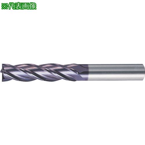 MOLDINO C åɥɥߥ  HESL4200-C:HESL4200C͡8154674:0[ӸѤ][ǳ][Ź...