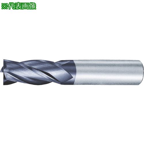 MOLDINO -- 4EM HES4250-C:HES4250C͡8154758:0[ӸѤ][ǳ][ŹƬԲ...