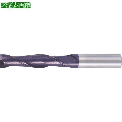 MOLDINO C åɥɥߥ  HESL2200-C:HESL2200C͡8154788:0[ӸѤ][ǳ][Ź...