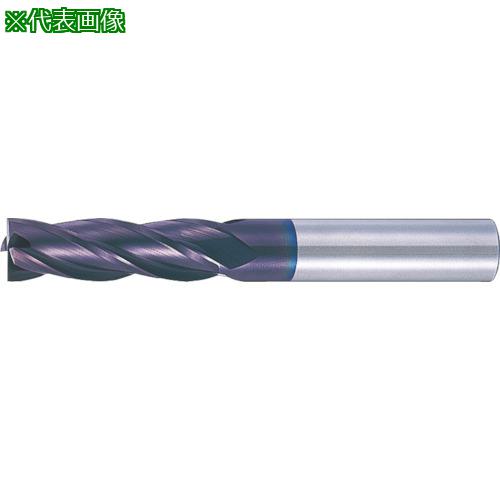 MOLDINO C åɥɥߥ ߥǥ HESM4120-C:HESM4120C͡8154824:0[ӸѤ][ǳ]...