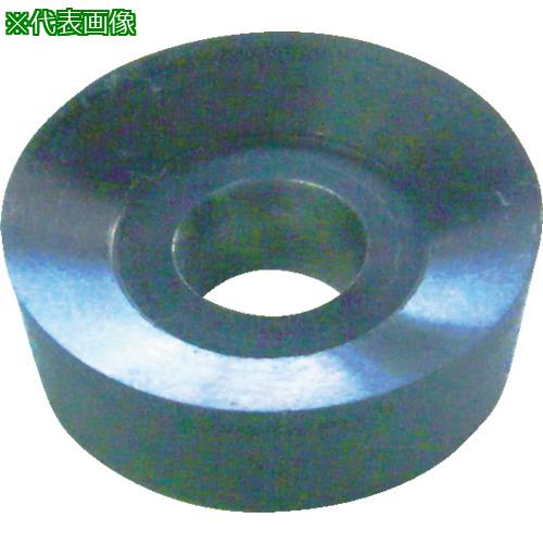 ■SANWA ハイスチップ 丸駒12φ スクイ25°《10個入》〔品番:12R04B25〕【8161635×10:0】[送料別途見積り][店頭受取不可]