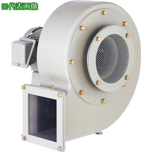  ư ꡼(0.2kW):AH400͡8167600:0[ӸѤ][ˡ͡Ƚ][ľ][ŹƬԲ]