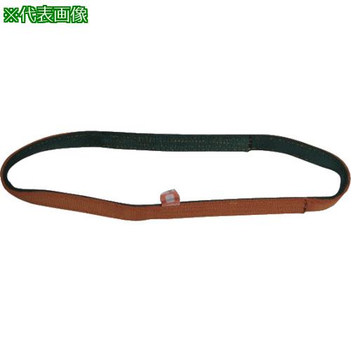 ■シライ ベルトスリング ナイロンスリング N3N(JIS3トウキュウ) エンドレス形 50mm幅×長さ2.0m〔品番:N3N50X2.00〕【8170158:0】[送料別途見積り][掲外取寄][店頭受取不可]