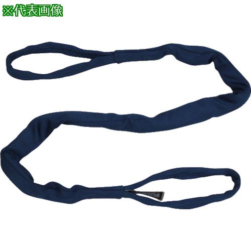 ■シライ ラウンドスリング シライマルチスリング[[R上]]WG(水・粉塵対策) FE 両端アイ形 1.0t 長さ1.5m〔品番:FE1X1.5WG〕【8170537:0】[送料別途見積り][掲外取寄][店頭受取不可]