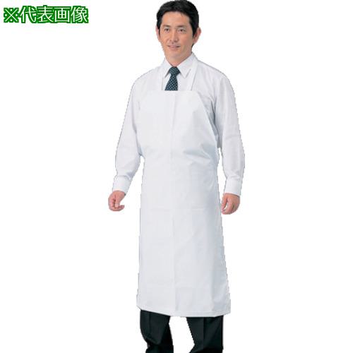 AS եǥȥץ CSS-MAA-L:1771003͡8188549:0[ŹƬԲ]