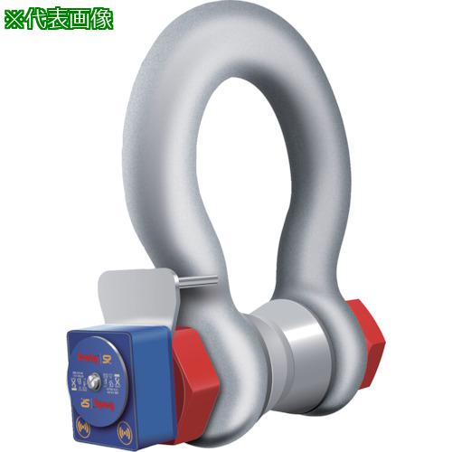 MARTEC ۥȥ ̵ɥå WLS 85T ǥץ쥤:WLS85T͡8195837:0...