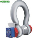 ■MARTEC ホイストスケール 無線ロードシャックル WLS 120T 手持ちディスプレイ別売り〔品番:WLS120T〕【8195838:0】[送料別途見積り...